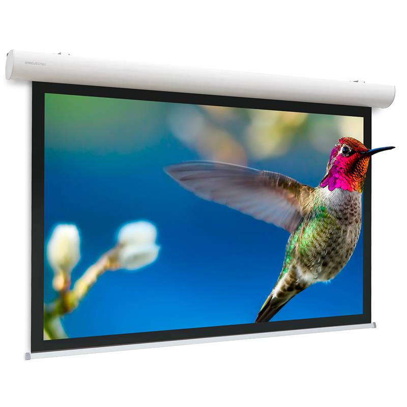 Моторизований екран Projecta Elpro Concept 191 x 300 см, 135, MW